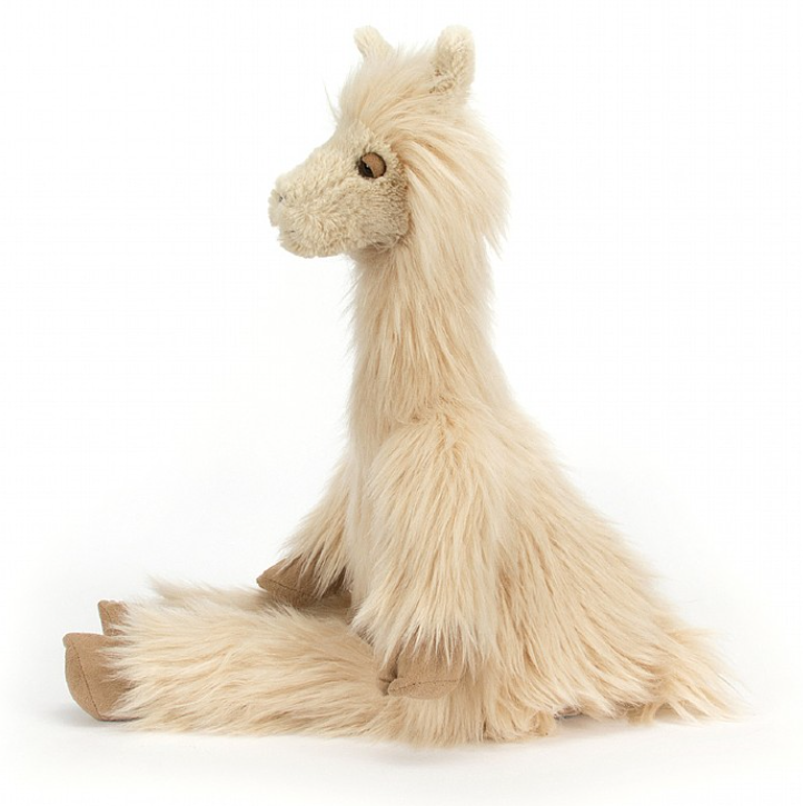 Luis Llama