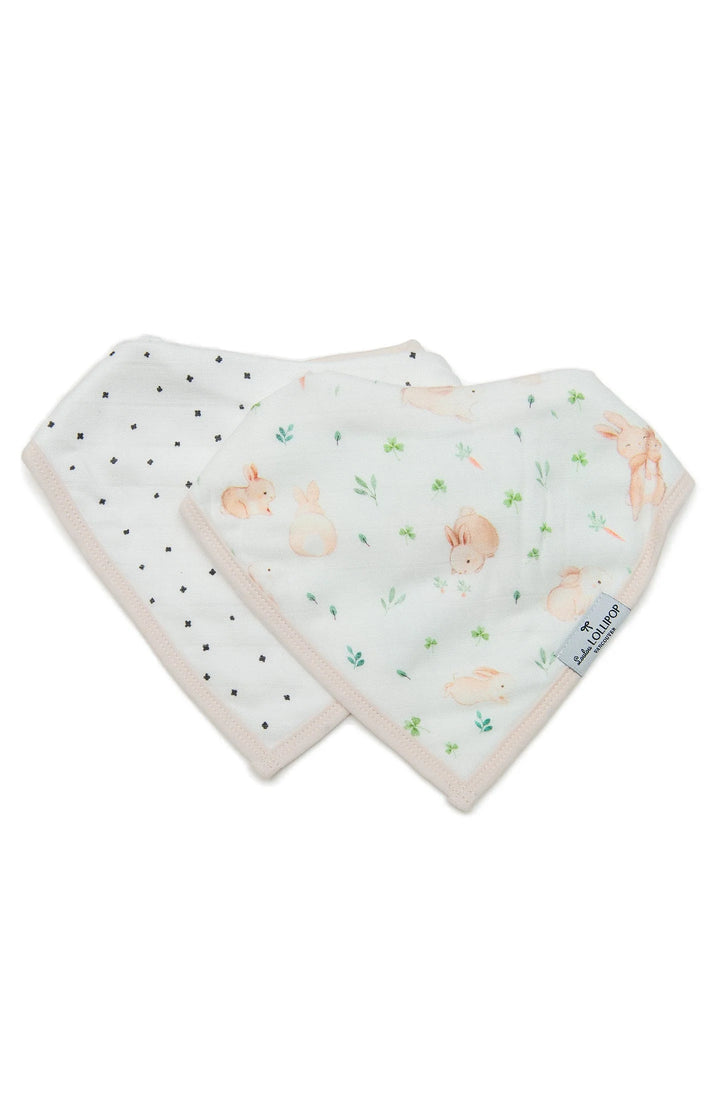 Bandana Bibs