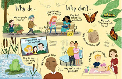Lift-the-flap Questions and Answers about Growing Up