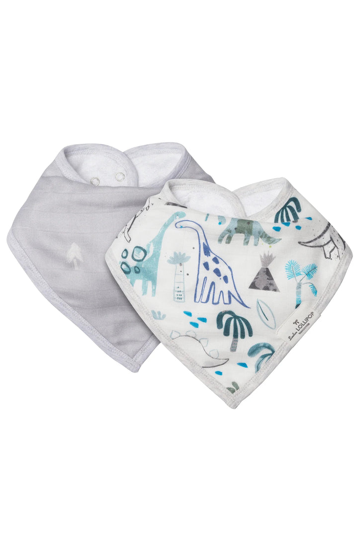 Bandana Bibs