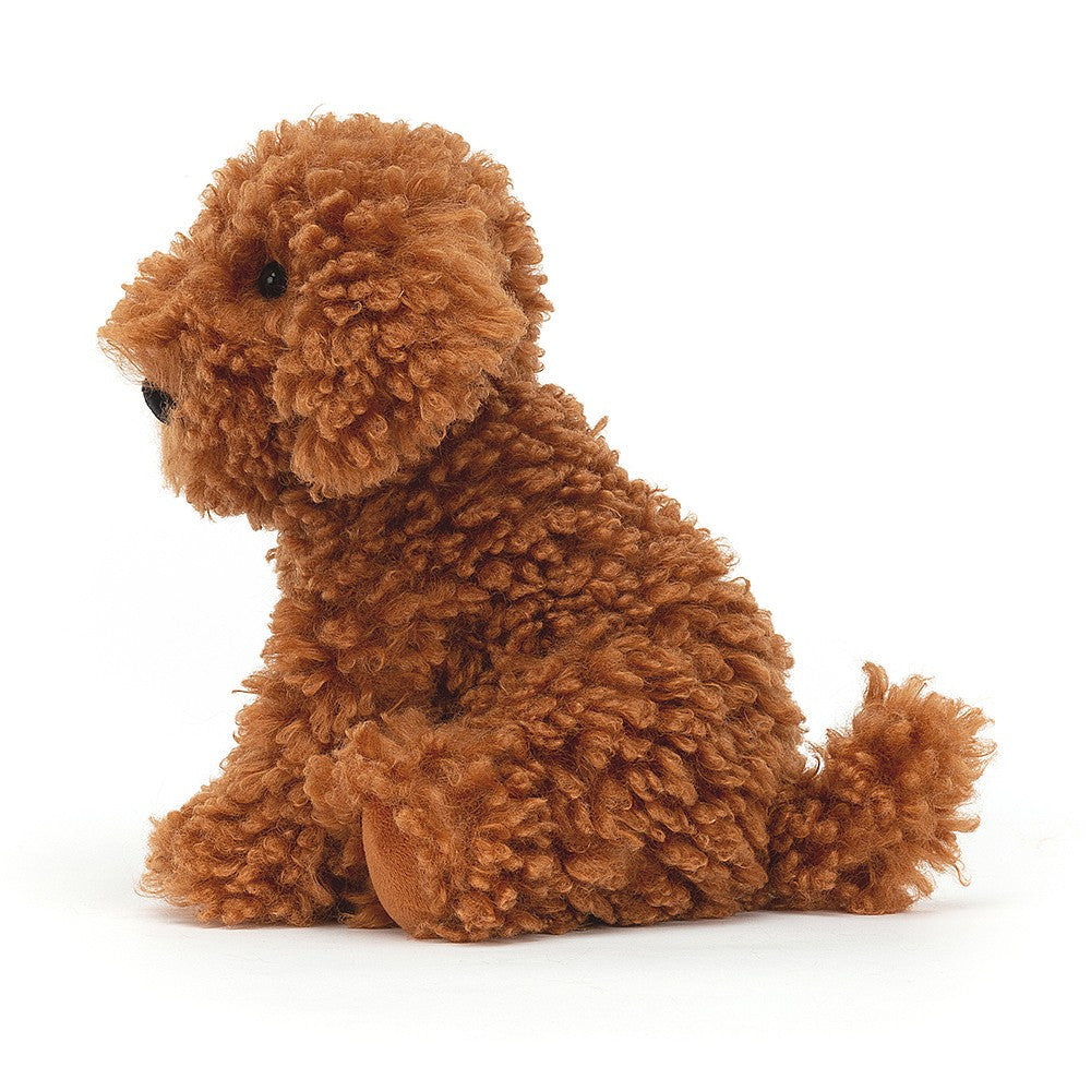 Cooper Labradoodle Pup