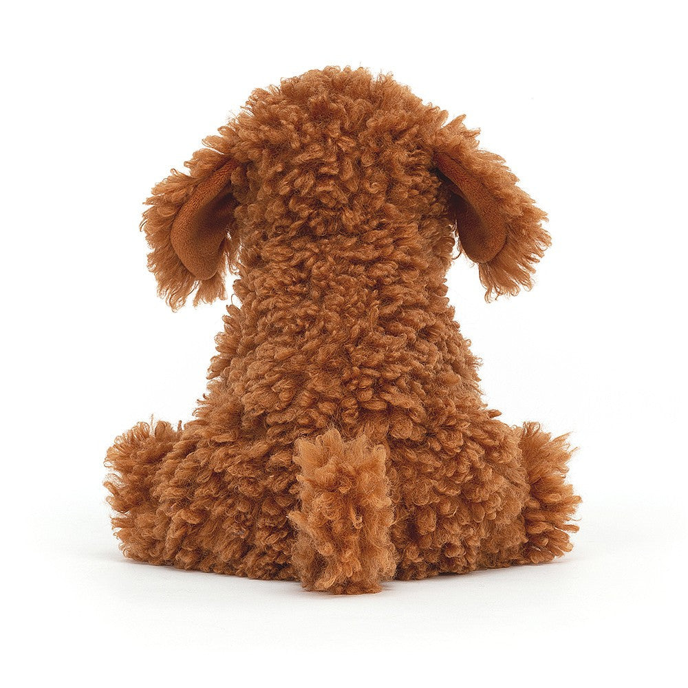 Cooper Labradoodle Pup