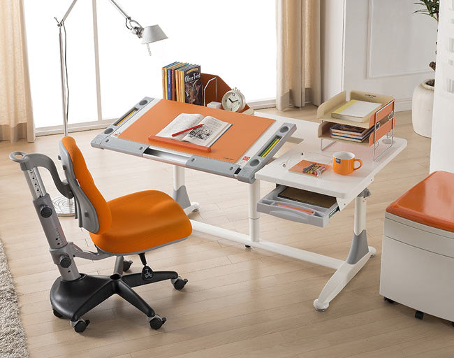 M9 Ergonomic Desk (Floor Model)