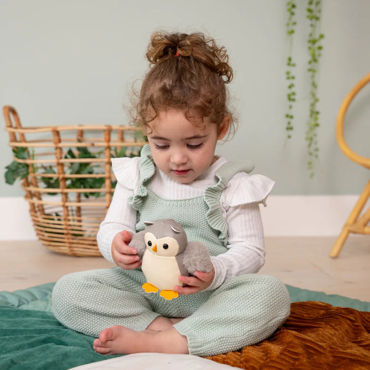 Colette the Owl