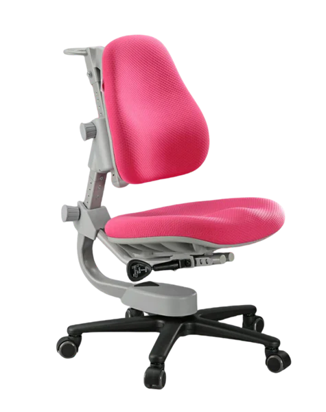 Y918 Ergonomic Chair