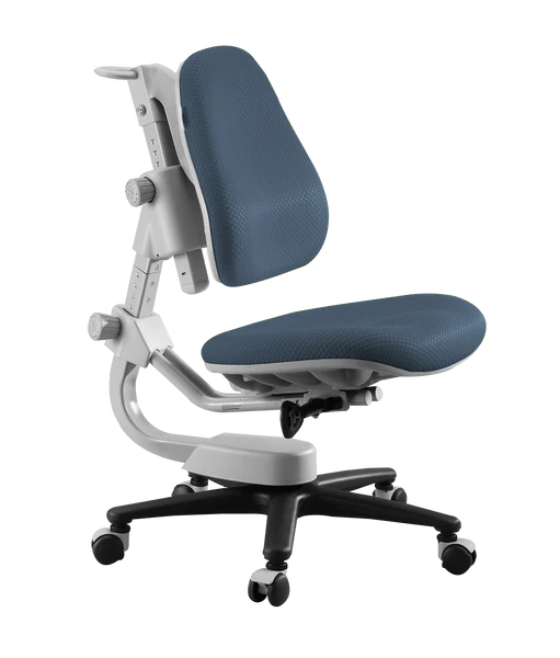 Y918 Ergonomic Chair