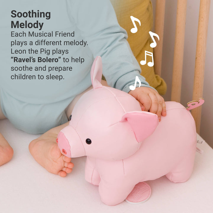 Musical Animals - Pig