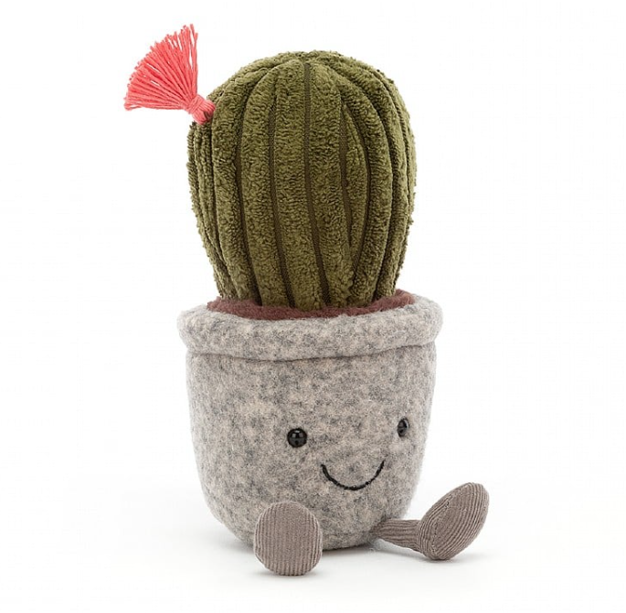 Silly Succulent Cactus