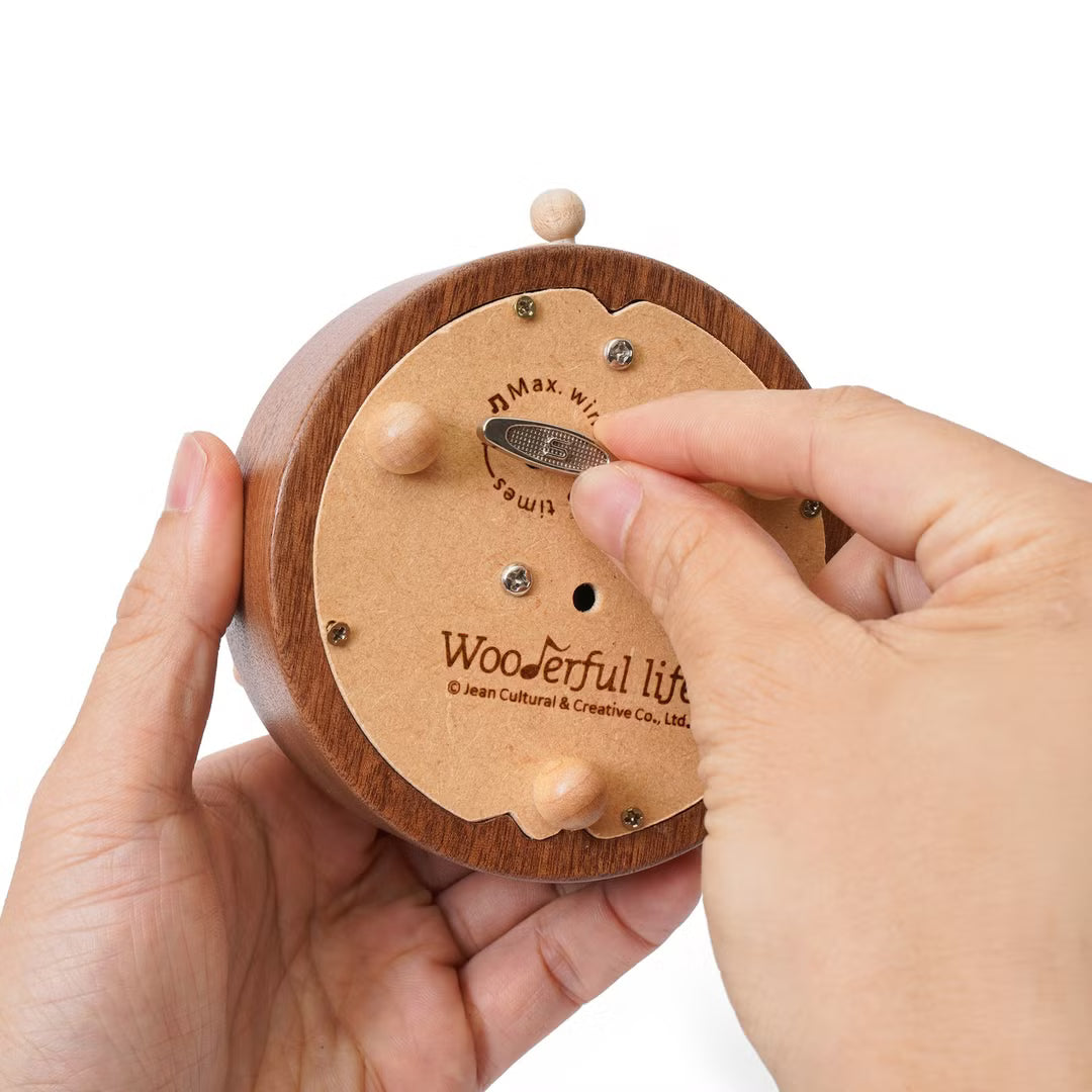 Capybara Bathing Music Box