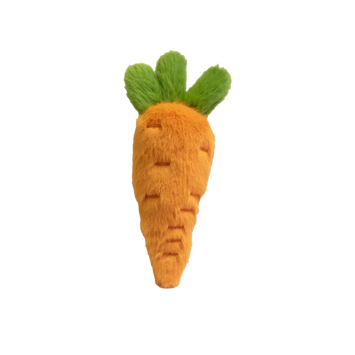 Garden Friends - Carrot