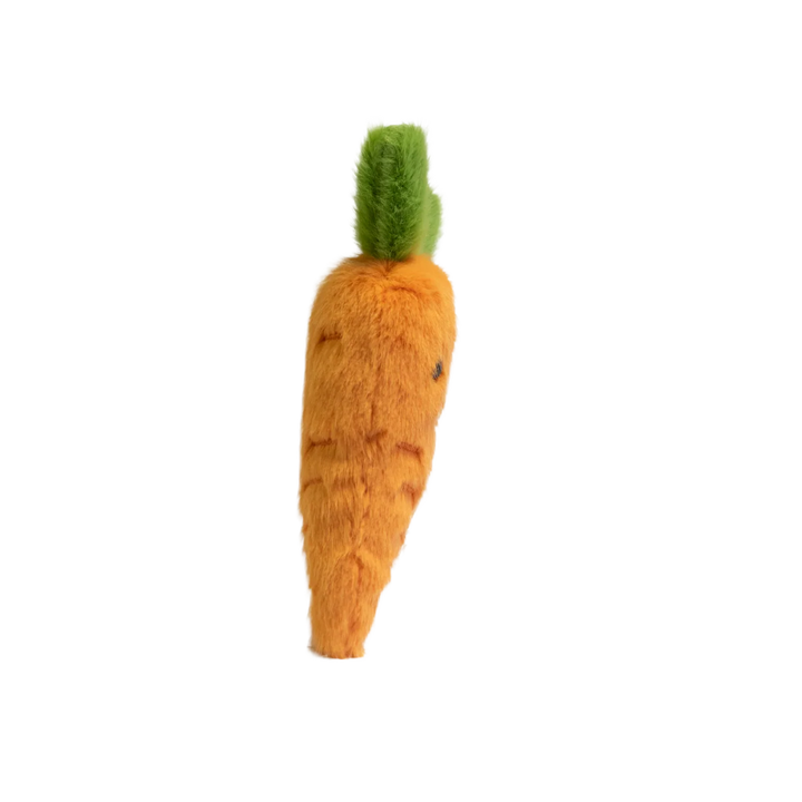 Garden Friends - Carrot