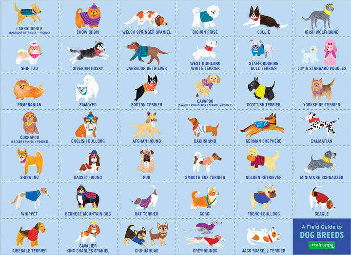 Doggie Days 64 Pc Search & Find Puzzle