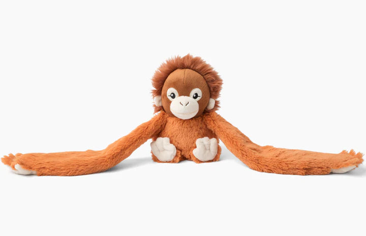 Hugarounds-Ollie the Orangutan