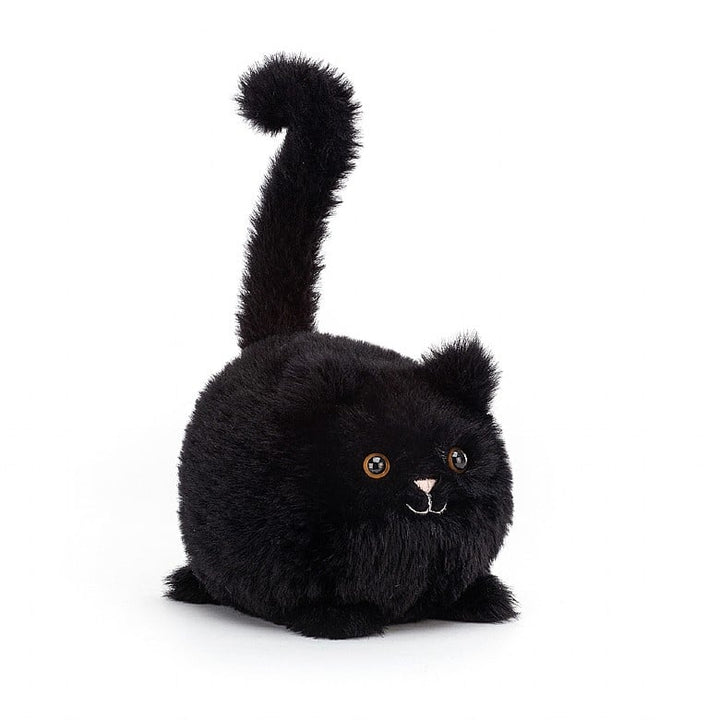 Kitten Caboodle Black