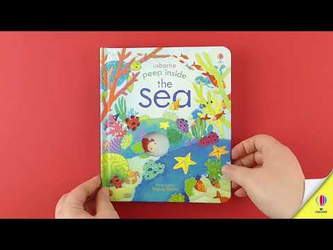 Peek Inside the Sea