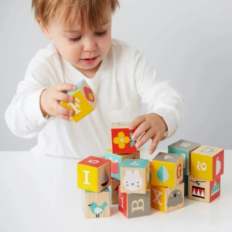 ABC Wooden Alphabet Blocks