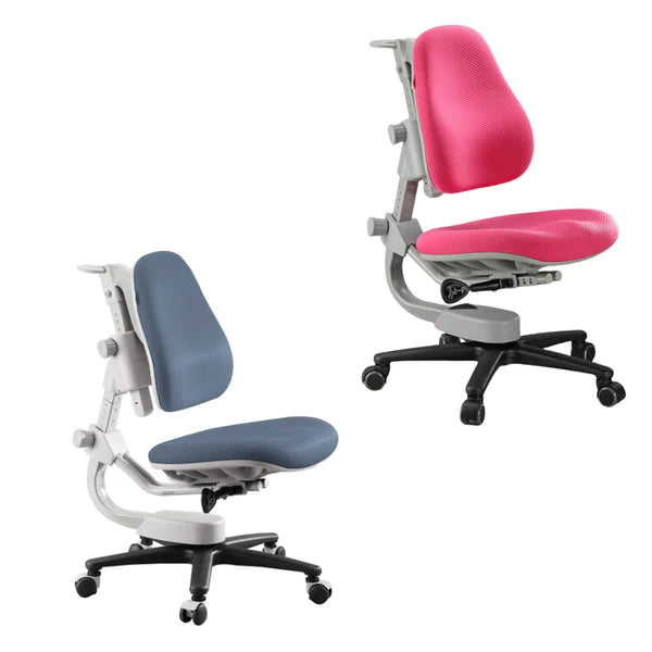 Y918 Ergonomic Chair